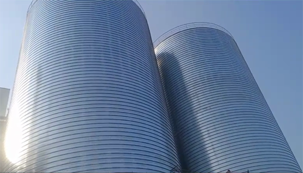 红寺堡2座混凝土高架卷板仓